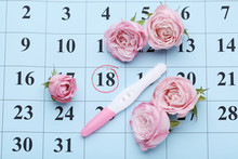 Pregnancy Test With Rose Flowers On Paper Calendar