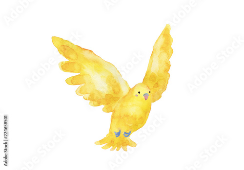 黄色の小鳥 水彩イラスト Stock Illustration Adobe Stock