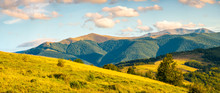 Panorama Of Autumn Countryside With Grassy Rolling Hills. Wonderful Evening Scenery With Beautiful Clouds Above The Distant Ridge