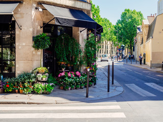 Wall Mural - cozy street with flower shop in paris, france