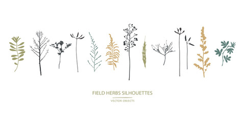 Vector silhouettes collection. Set of field flowers, herbs.