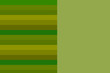 © natmioni - green background with stripes