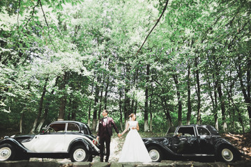 Wall Mural - Stylish wedding couple, bride, groom kissing and hugging on retro car