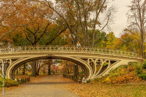 Fotografie, Obraz A view of the Central Park in New York in November.