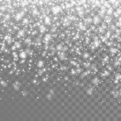Poster - Vector falling snow. Isolated snowflakes on the transparent background