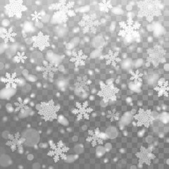 Poster - Vector falling snow. Isolated snowflakes on the transparent background