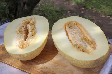 Two halves on sweet big tasty melon with seeds on the table