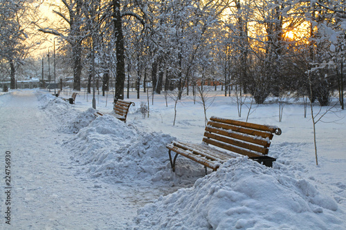 Fotografie, Tablou Winter sunset on the alley in the old park