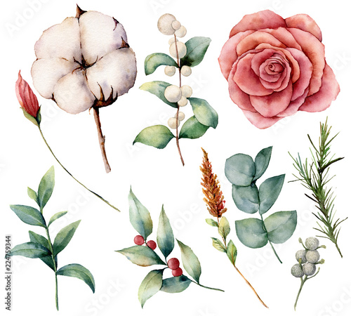 Watercolor Autumn Set With Plants Flowers And Berries Hand Painted Cotton Rose Lagurus Leaves And Branches Isolated On White Background Floral Illustration For Fall Design Print Stock Illustration Adobe Stock Watercolor Autumn Set With Plants Flowers And Berries Hand Painted Cotton Rose Lagurus Leaves And Branches Isolated On White Background Floral Illustration For Fall Design Print Stock Illustration Adobe Stock