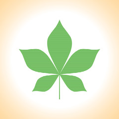 Wall Mural - Leaf of a chestnut tree in a green line. Vector leaf of the tree.
