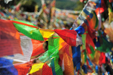 Colorful Player Flag flying