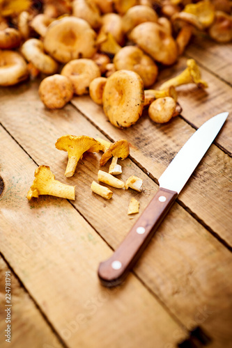 Fotografie, Obraz delicious fresh lactarius mushrooms straight from the forest and a knife on an o