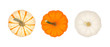 Assortment of autumn pumpkins isolated on a white background. Top view. Striped, orange and white.