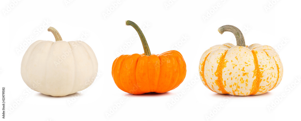 Assortment of autumn pumpkins isolated on a white background. White, orange and striped. - obrazy, fototapety, plakaty 
