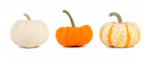 Assortment Of Autumn Pumpkins Isolated On A White Background. White, Orange And Striped.