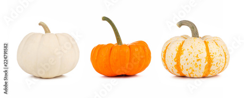 Cuadros en Lienzo Assortment of autumn pumpkins isolated on a white background