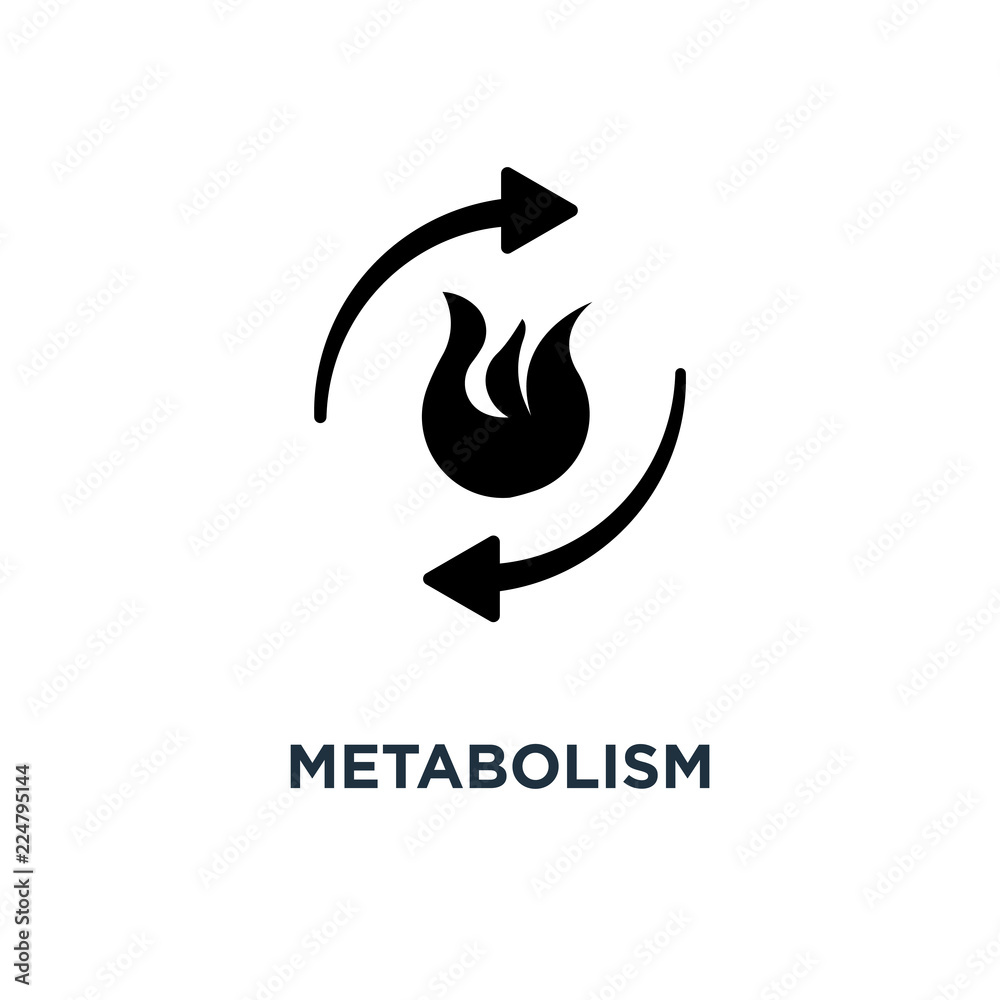 metabolism icon. burn concept symbol design, vector illustration Stock ...