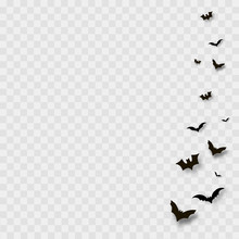 Flying Bats On Transparent Background. Vector.