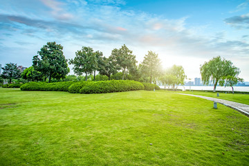 Wall Mural - Urban park grassland forest..