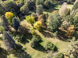 autumnal park top view landscape. aerial scenic autumn view of a colorful trees