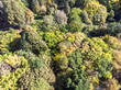autumn landscape with colorful forest background. aerial top view