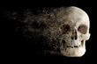 The effect of the destruction of the sandstorm of the human skull