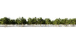 3d rendering of a plants row for architectrural background use isolated on a white background