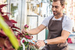 © LIGHTFIELD STUDIOS - handsome florist cutting burgundy rose with pruner near flower shop