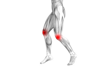 Conceptual knee human anatomy with red hot spot inflammation or articular joint pain for leg health care therapy or sport muscle concepts. 3D illustration man arthritis or bone osteoporosis disease