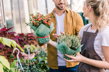 Wall Mural - cropped image of florist helping customer choosing potted plant at flower shop