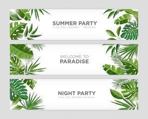 Poster - Collection of horizontal web banner templates with green tropical foliage of exotic jungle plants and trees and place for text on white background. Colorful natural realistic vector illustration.