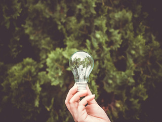 Concept save energy efficiency. Hand holding light bulb on blurred tree background