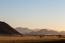 Landscape Of Africa In The Sunset