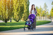Young modern mom with baby son in stroller walking in Sunny Park. Concept of the joy of motherhood and autumn mood