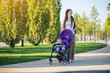 © Artem - Young modern mom with baby son in stroller walking in Sunny Park. Concept of the joy of motherhood and autumn mood