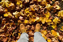 Maple And Other Dried Leaves Fall To The Ground As Autumn Started, The Boots Matched The Colors Of Autumn