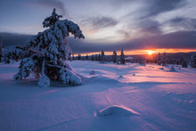 Snow Covered Winter Landscape At Sunset, Lapland, Pallas-Yllastunturi National Park, Lapland, Finland