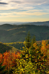 Wall Mural - evening view over endless forests in autumn, trees with clourful leaves