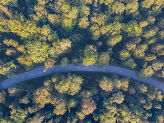 Wall Mural - Aerial view of road through forest in Switzerland