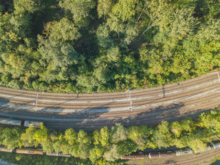 Wall Mural - Aerial view of rail tracks through forest