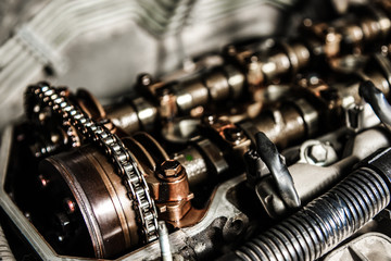 camshafts and a chain