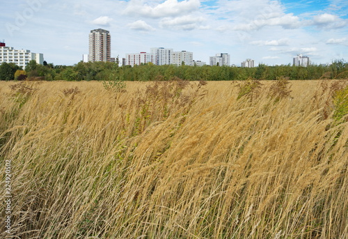 Photo Blick auf die Gropiusstadt in Berlin von einer Wiese in Großziethen aus