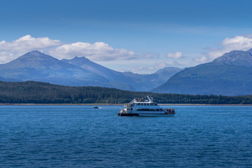 Whale Watching boat