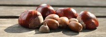 Chestnuts And Acorns On Wooden Background. 