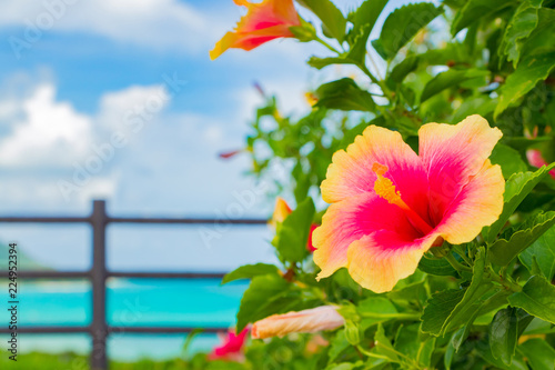 Fotolia アドビストックのデザイン かべいろ Com おしゃれ壁紙リフォーム貼り替え インクジェット壁紙のかべいろ Com