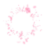 Fototapeta Motyle - Sakura petals falling down. Romantic pink flowers vignette. Flying petals on white square background