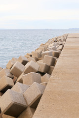 Wall Mural - Breakwater and Tetrapods, at Ooita Prefecture, Japan