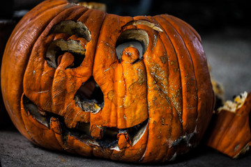 Creepy decaying carved pumpkin / haloween concept