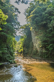 Fototapeta  - 夏の養老渓谷の弘文洞跡の風景