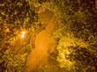 aerial view of footpath with empty wooden benches and glowing street lamps in night park at autumn time
